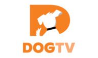 Dogtv-Coupons-Codes