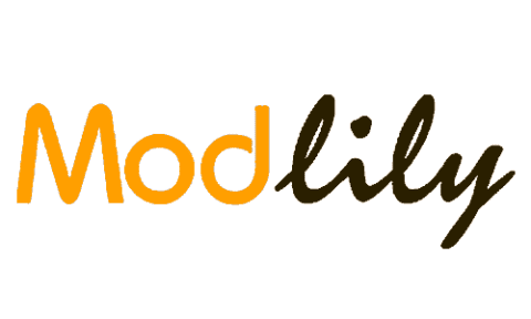 Modlily Discount Codes