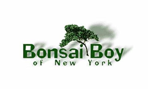 Bonsai-Boy-of-New-York-Coup